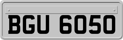BGU6050