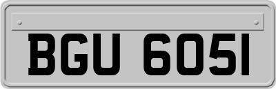BGU6051