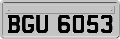 BGU6053