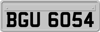 BGU6054
