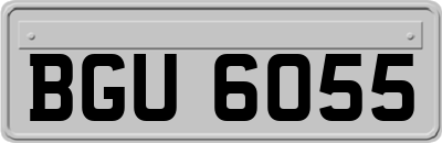 BGU6055