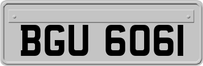 BGU6061