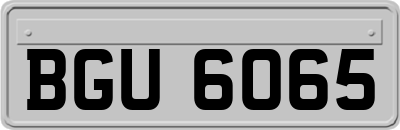 BGU6065
