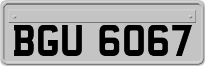 BGU6067