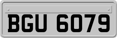 BGU6079