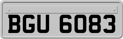 BGU6083