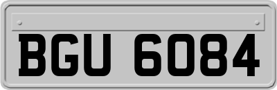 BGU6084