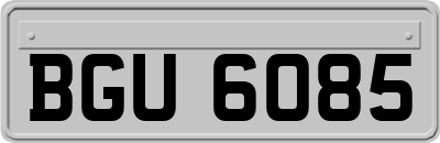 BGU6085