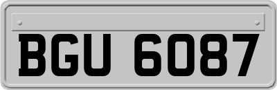 BGU6087