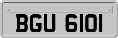 BGU6101