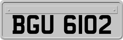 BGU6102