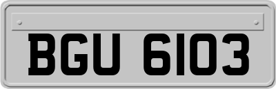BGU6103