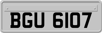 BGU6107