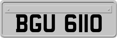 BGU6110
