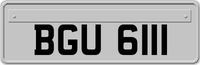 BGU6111