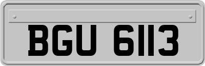 BGU6113