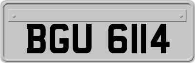 BGU6114