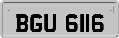 BGU6116