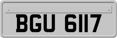 BGU6117