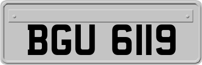 BGU6119