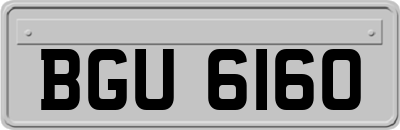 BGU6160