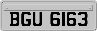 BGU6163
