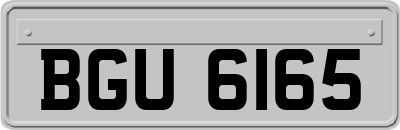 BGU6165