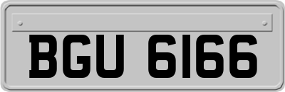 BGU6166