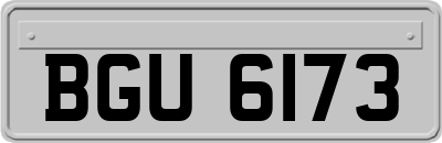 BGU6173