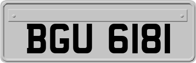 BGU6181