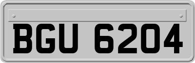 BGU6204