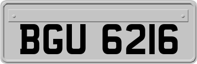 BGU6216