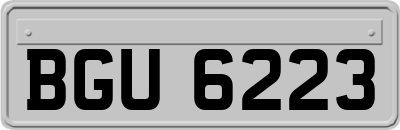 BGU6223