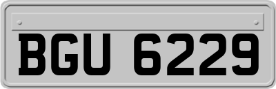 BGU6229