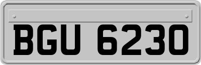 BGU6230