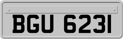 BGU6231