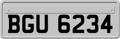 BGU6234