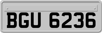 BGU6236
