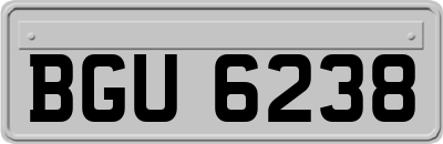 BGU6238