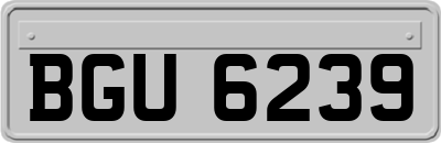BGU6239