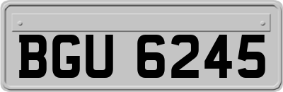 BGU6245