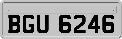 BGU6246
