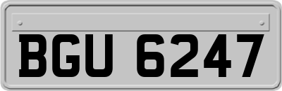 BGU6247