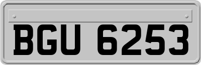 BGU6253