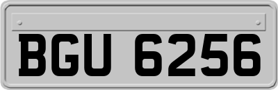 BGU6256