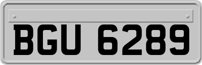 BGU6289