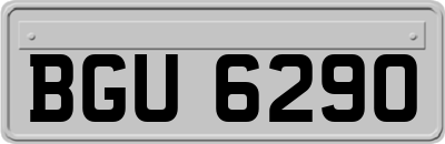 BGU6290