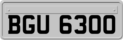 BGU6300