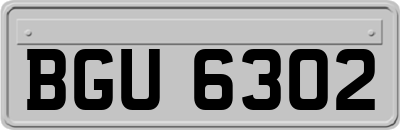 BGU6302