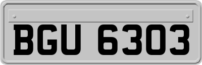 BGU6303
